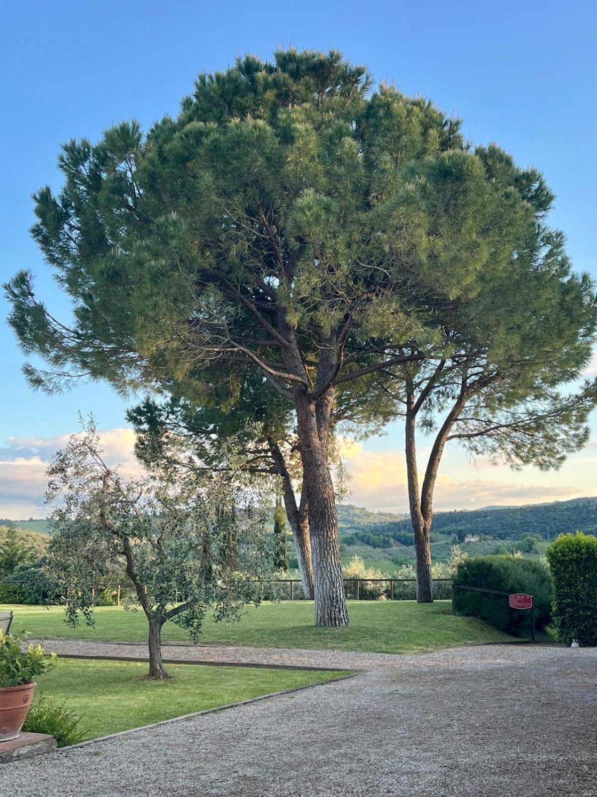Fattoria Abbazia Monte Oliveto Villa San Gimignano Exteriör bild